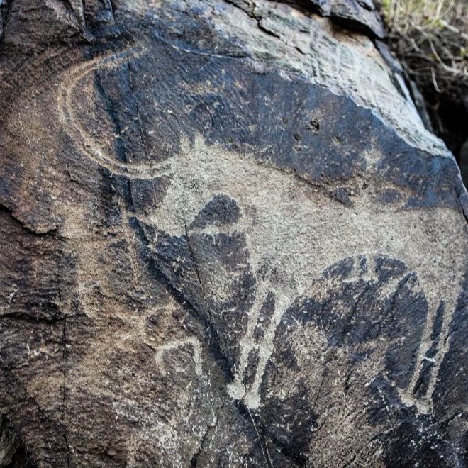 Tamgaly Guided Trips - Petroglyphs | Kazakh Adventures